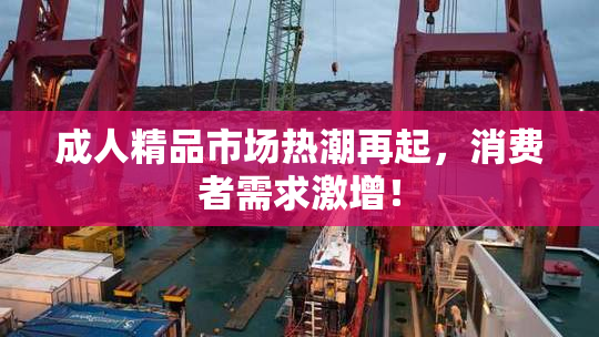 成人精品市场热潮再起，消费者需求激增！