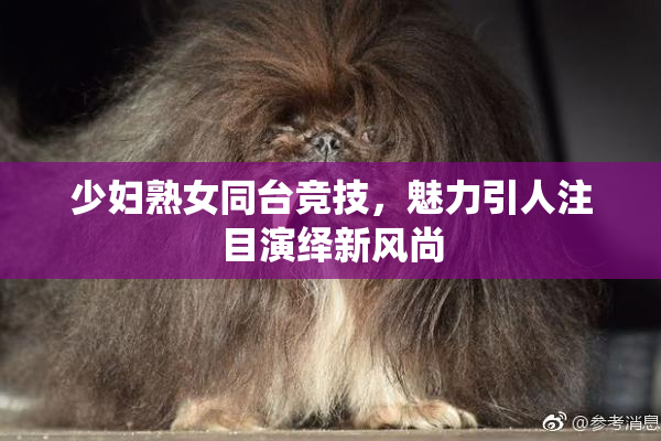 少妇熟女同台竞技，魅力引人注目演绎新风尚
