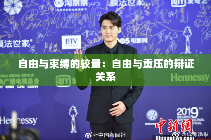 自由与束缚的较量：自由与重压的辩证关系