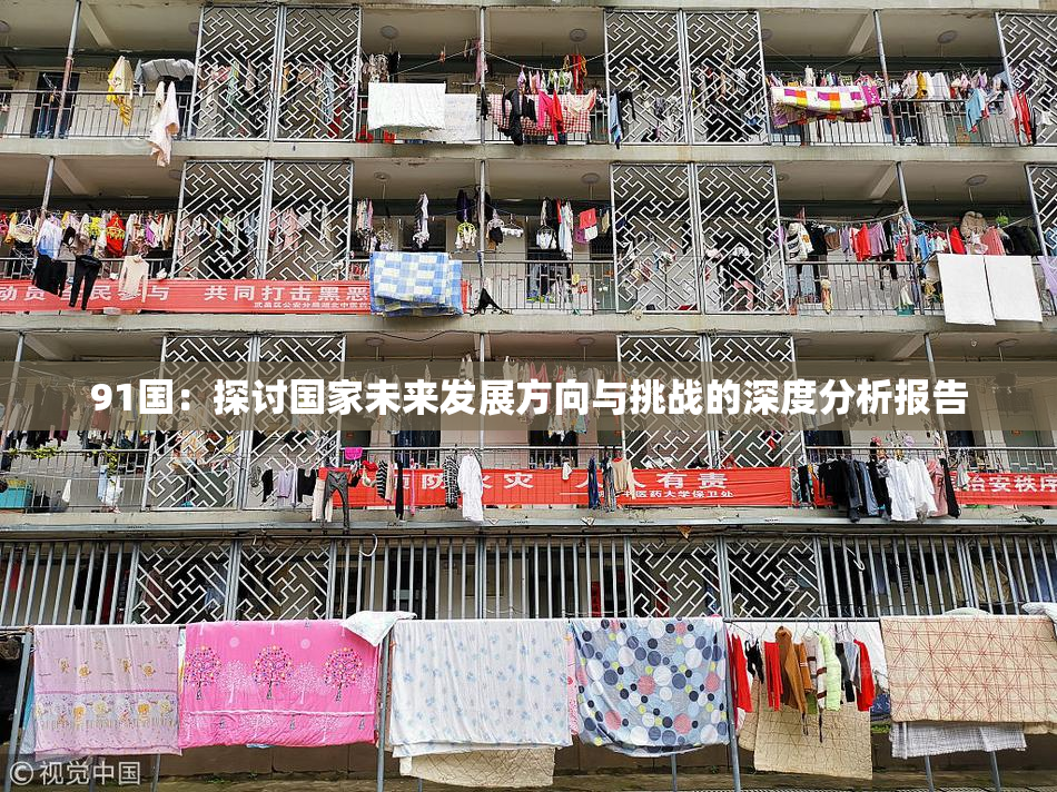 91国：探讨国家未来发展方向与挑战的深度分析报告