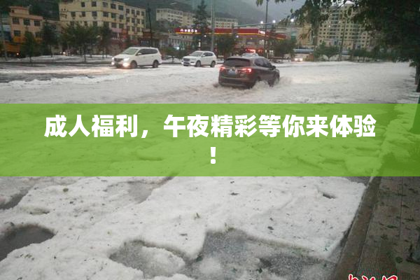 成人福利，午夜精彩等你来体验！