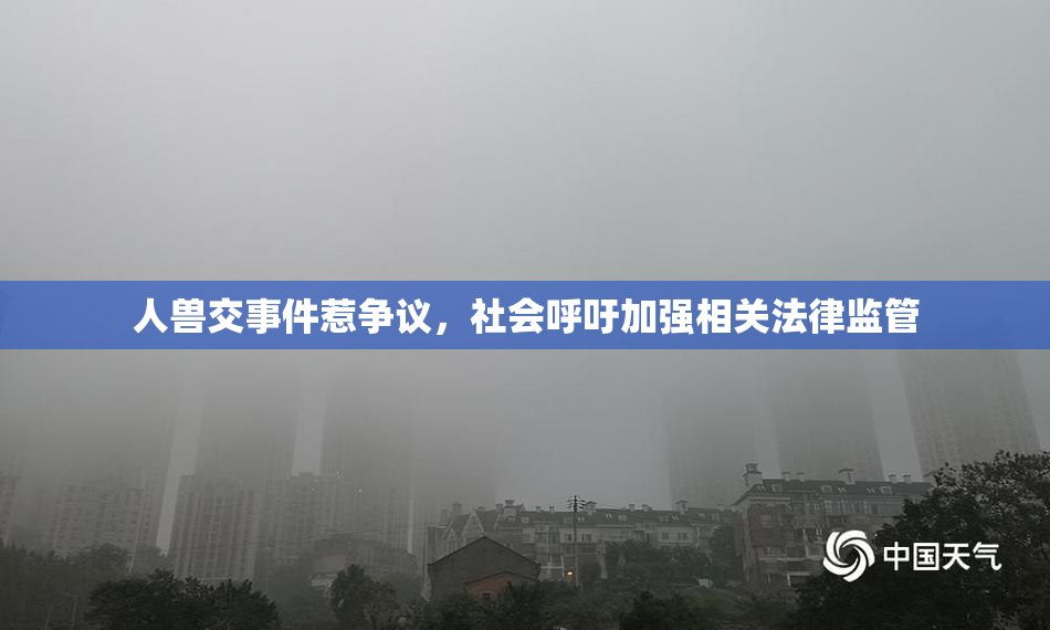 人兽交事件惹争议，社会呼吁加强相关法律监管