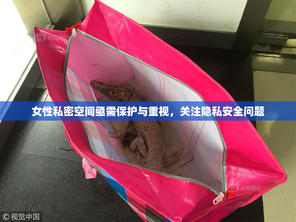 女性私密空间亟需保护与重视，关注隐私安全问题