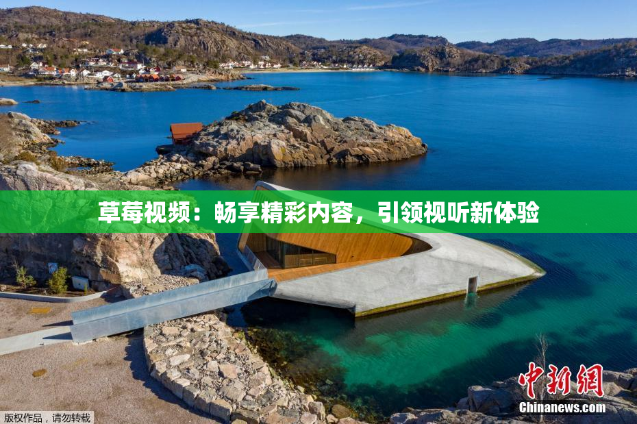 草莓视频：畅享精彩内容，引领视听新体验