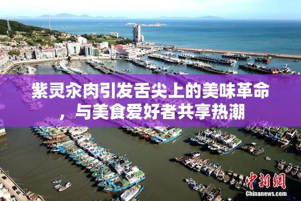 紫灵汆肉引发舌尖上的美味革命，与美食爱好者共享热潮