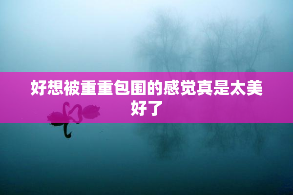 好想被重重包围的感觉真是太美好了