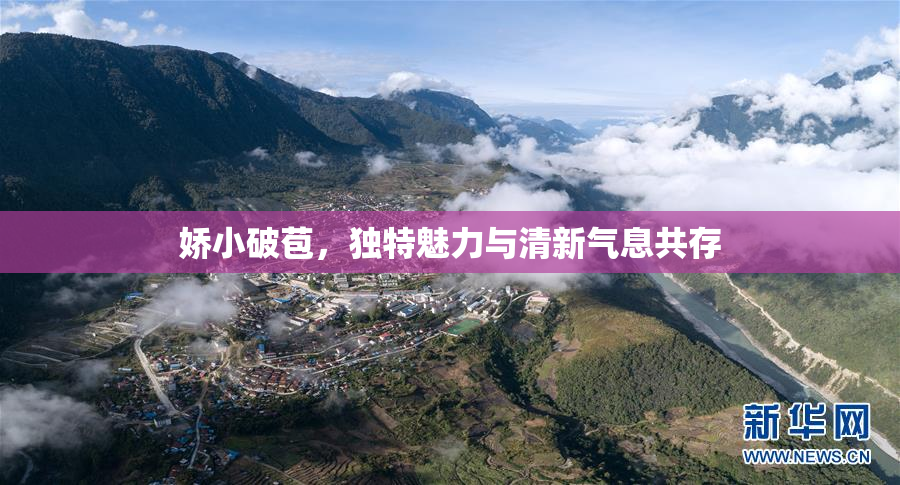 娇小破苞，独特魅力与清新气息共存