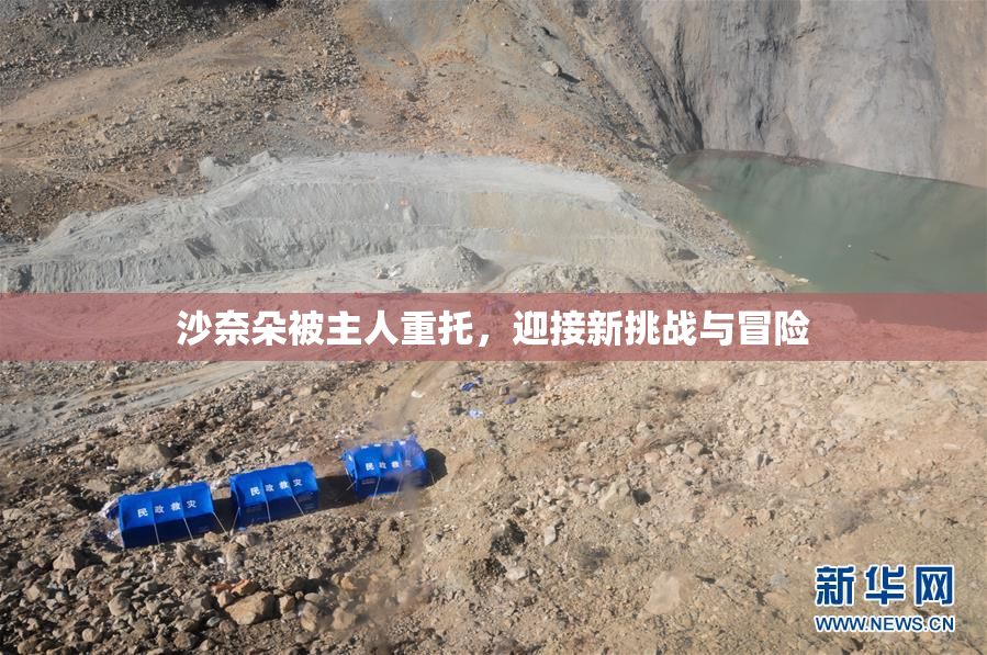 沙奈朵被主人重托，迎接新挑战与冒险