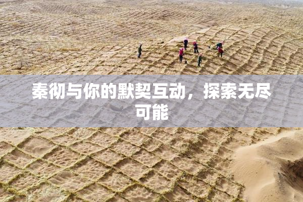 秦彻与你的默契互动，探索无尽可能