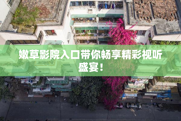 嫩草影院入口带你畅享精彩视听盛宴！