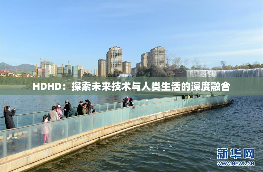 HDHD：探索未来技术与人类生活的深度融合