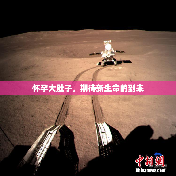 怀孕大肚子，期待新生命的到来