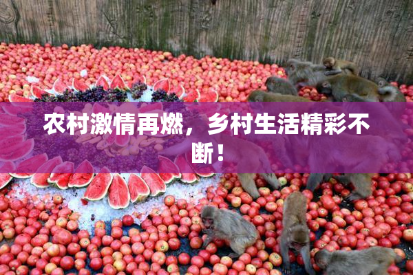 农村激情再燃，乡村生活精彩不断！