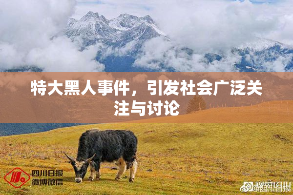 特大黑人事件，引发社会广泛关注与讨论