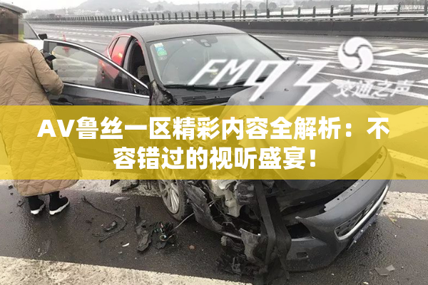 AV鲁丝一区精彩内容全解析：不容错过的视听盛宴！