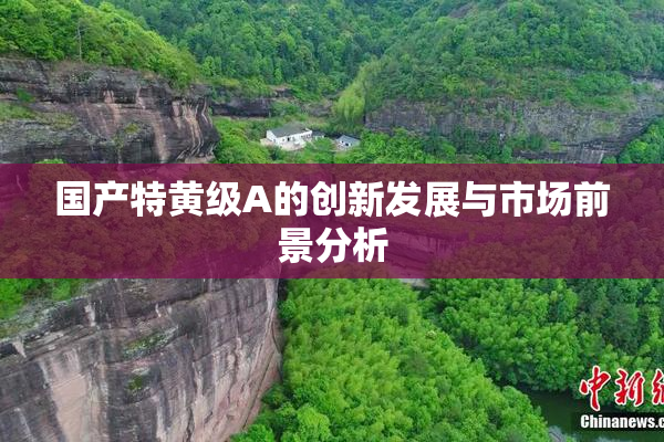 国产特黄级A的创新发展与市场前景分析