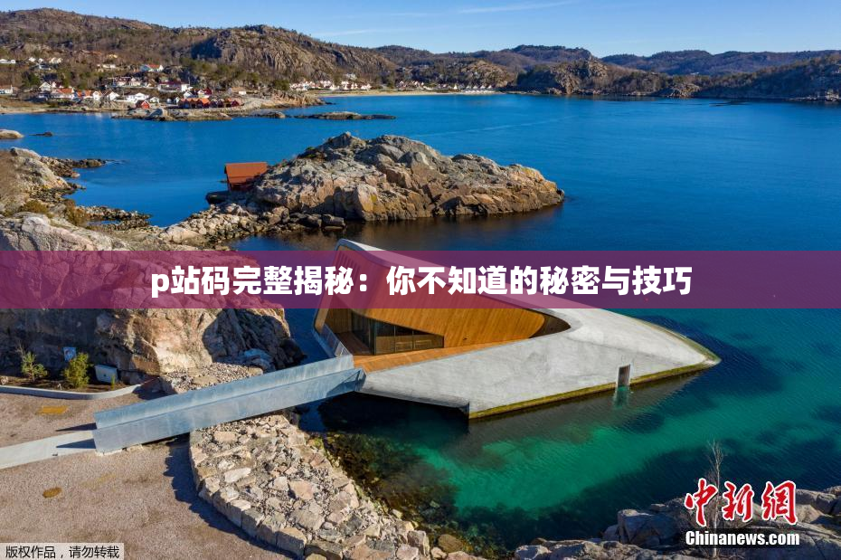 p站码完整揭秘：你不知道的秘密与技巧