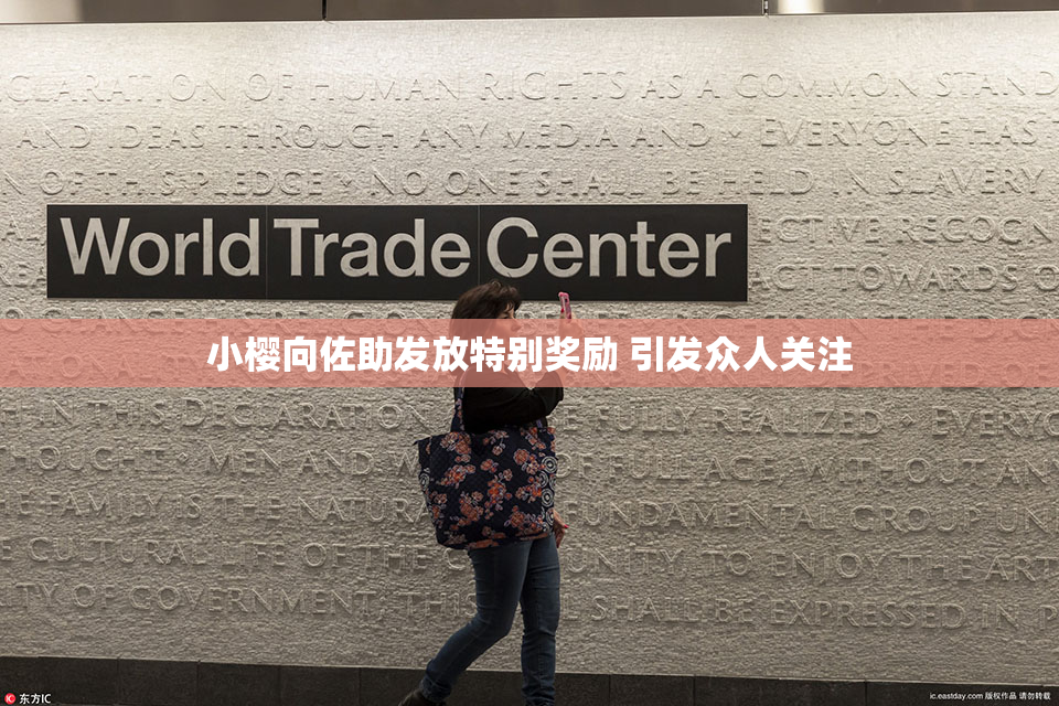 小樱向佐助发放特别奖励 引发众人关注