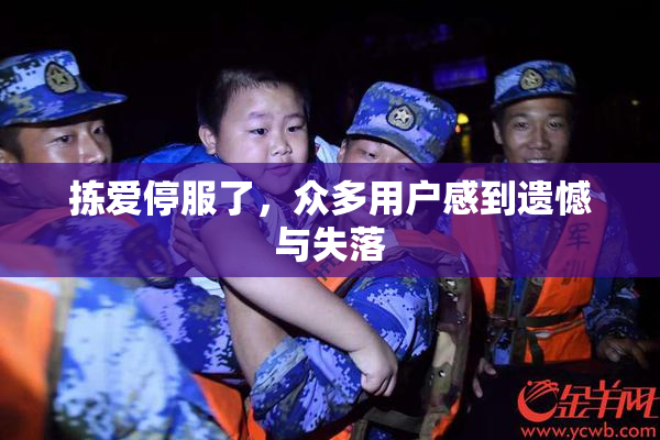 拣爱停服了，众多用户感到遗憾与失落