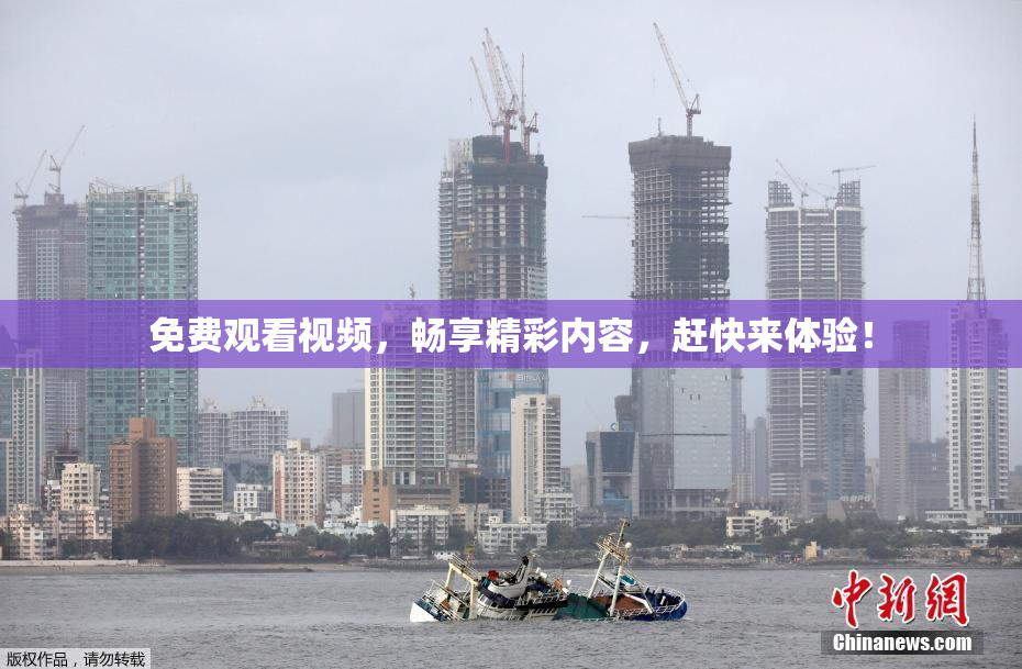 免费观看视频，畅享精彩内容，赶快来体验！