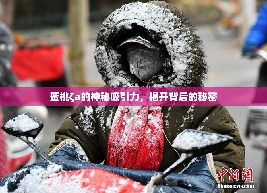 蜜桃ζa的神秘吸引力，揭开背后的秘密