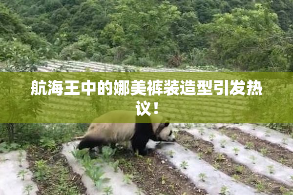 航海王中的娜美裤装造型引发热议！