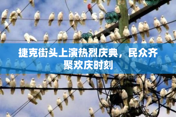 捷克街头上演热烈庆典，民众齐聚欢庆时刻