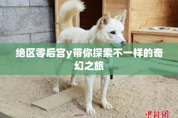 绝区零后宫y带你探索不一样的奇幻之旅