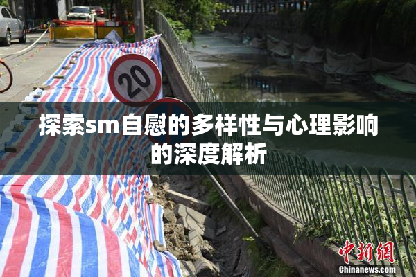 探索sm自慰的多样性与心理影响的深度解析