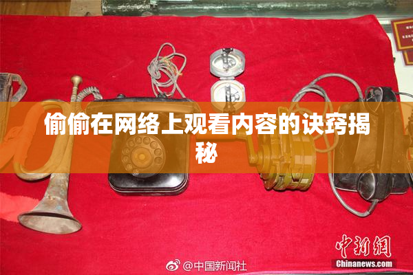 偷偷在网络上观看内容的诀窍揭秘