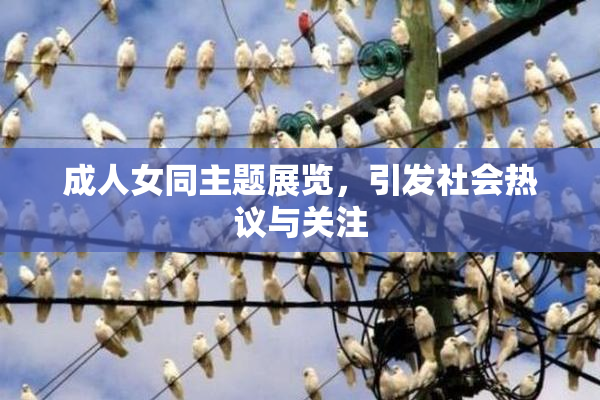 成人女同主题展览，引发社会热议与关注