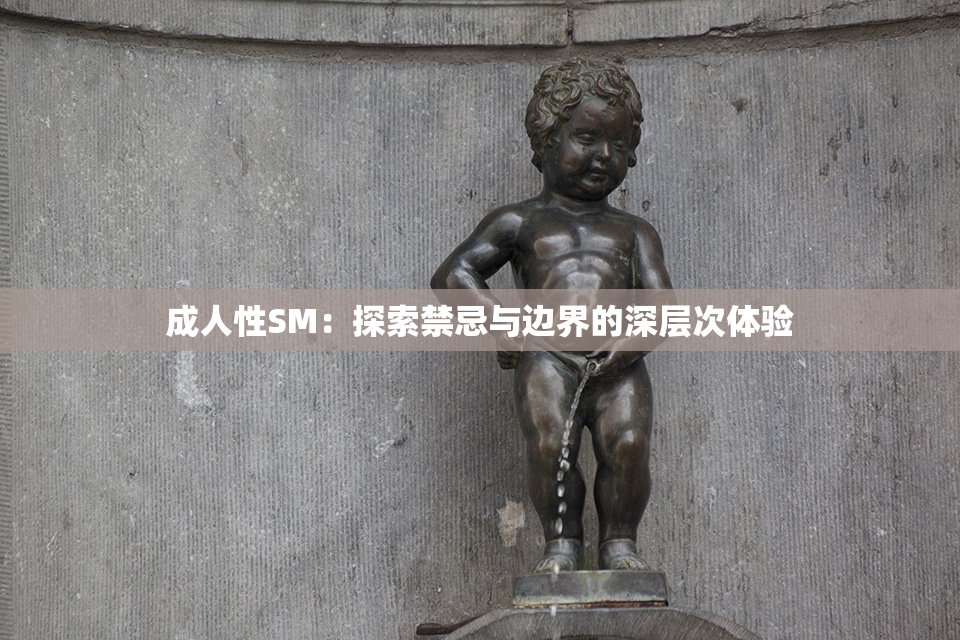 成人性SM：探索禁忌与边界的深层次体验