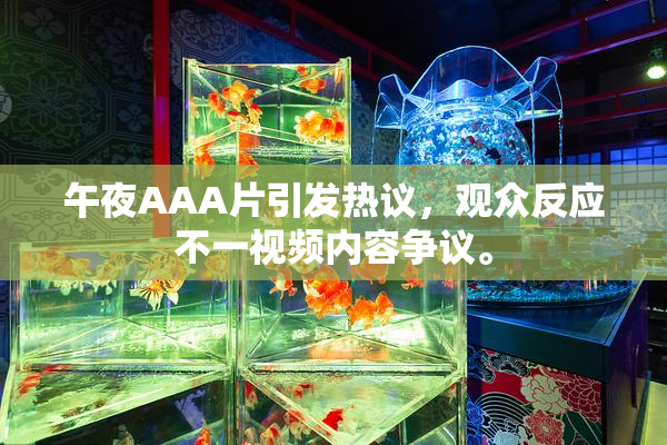 午夜AAA片引发热议，观众反应不一视频内容争议。