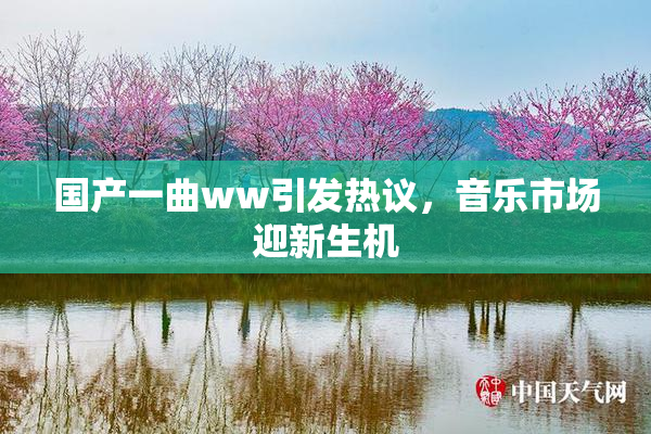 国产一曲ww引发热议，音乐市场迎新生机