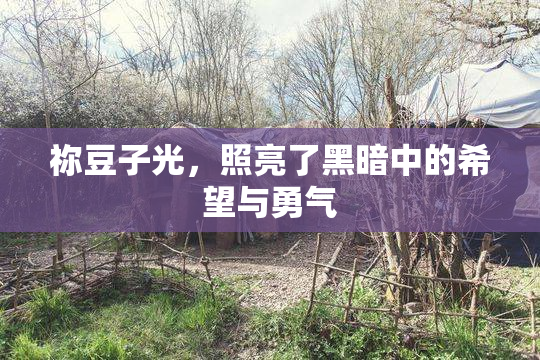 祢豆子光，照亮了黑暗中的希望与勇气