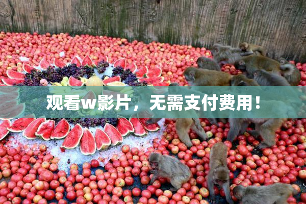 观看w影片，无需支付费用！