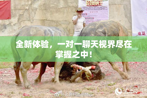 全新体验，一对一聊天视界尽在掌握之中！