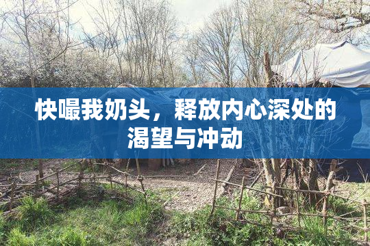 快嘬我奶头，释放内心深处的渴望与冲动
