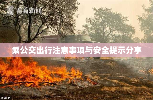 乘公交出行注意事项与安全提示分享