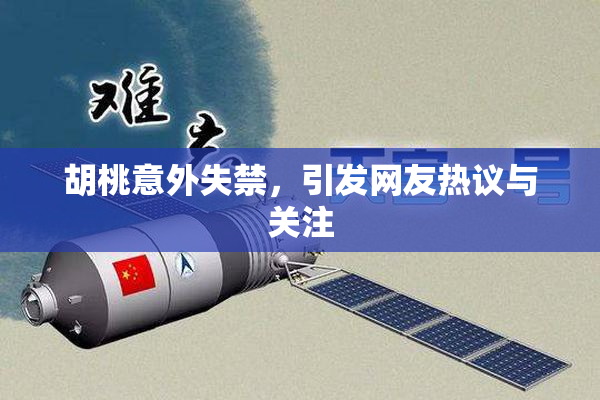 胡桃意外失禁，引发网友热议与关注
