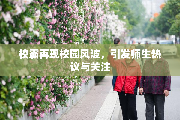校霸再现校园风波，引发师生热议与关注