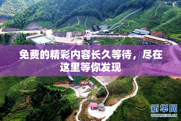 免费的精彩内容长久等待，尽在这里等你发现