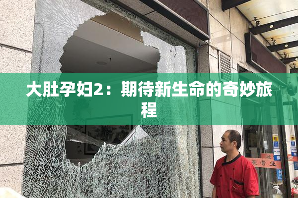 大肚孕妇2：期待新生命的奇妙旅程