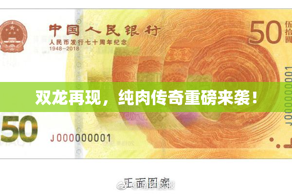 双龙再现，纯肉传奇重磅来袭！