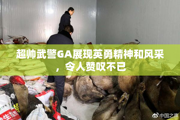 超帅武警GA展现英勇精神和风采，令人赞叹不已