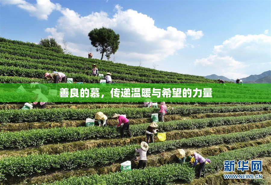 善良的慕，传递温暖与希望的力量