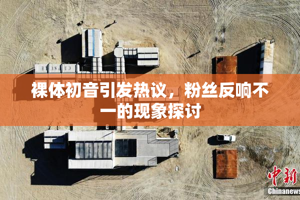裸体初音引发热议，粉丝反响不一的现象探讨