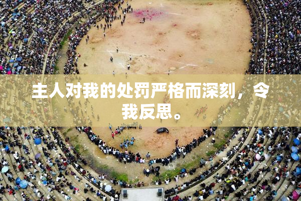 主人对我的处罚严格而深刻，令我反思。
