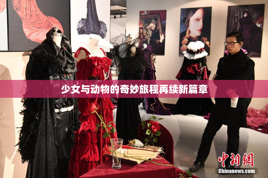 少女与动物的奇妙旅程再续新篇章
