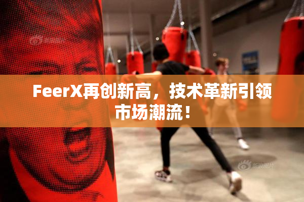 FeerX再创新高，技术革新引领市场潮流！